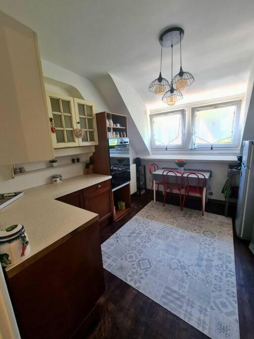 Appartement Centre Ville Terrasse Jardin Garage Chez Priscilla Aurillac Exterior photo